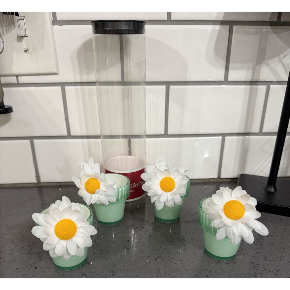 American Girl Doll‎ Place Cafe set 4 flower pots daisy daisies Garden Goodies
